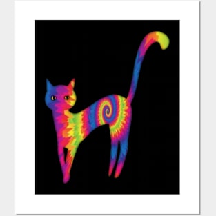 Cat poose Tie dye Posters and Art